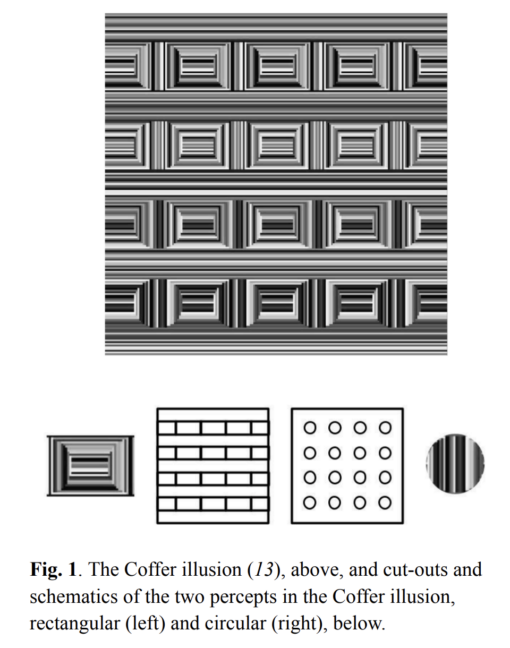 Iluzja optyczna Coffer, siatka czarnych linii, które można interpretować jako trójwymiarowe prostokąty lub płaskie okręgi, demonstrująca kulturowe różnice w percepcji.